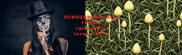 сатива Балашиха
