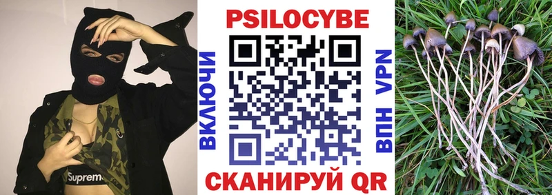 Псилоцибиновые грибы Cubensis  блэк спрут как зайти  Исилькуль 